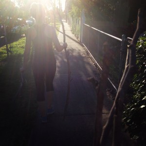 Stick hunting sunshine