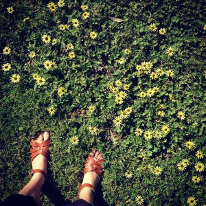 2014-09-28 10.13.39-2